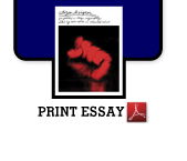 print essay from Citizen Designer