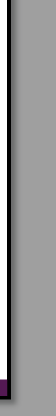 bottom border3