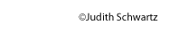 copyright�judith Schwartz 2007